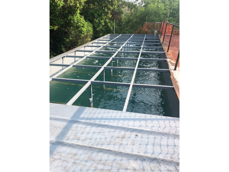 Off Shore Service and Cabinet Off Shore Service and Cabinet